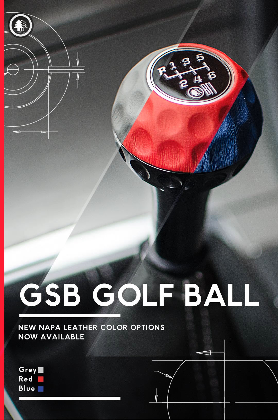 Graphic & Motion Design